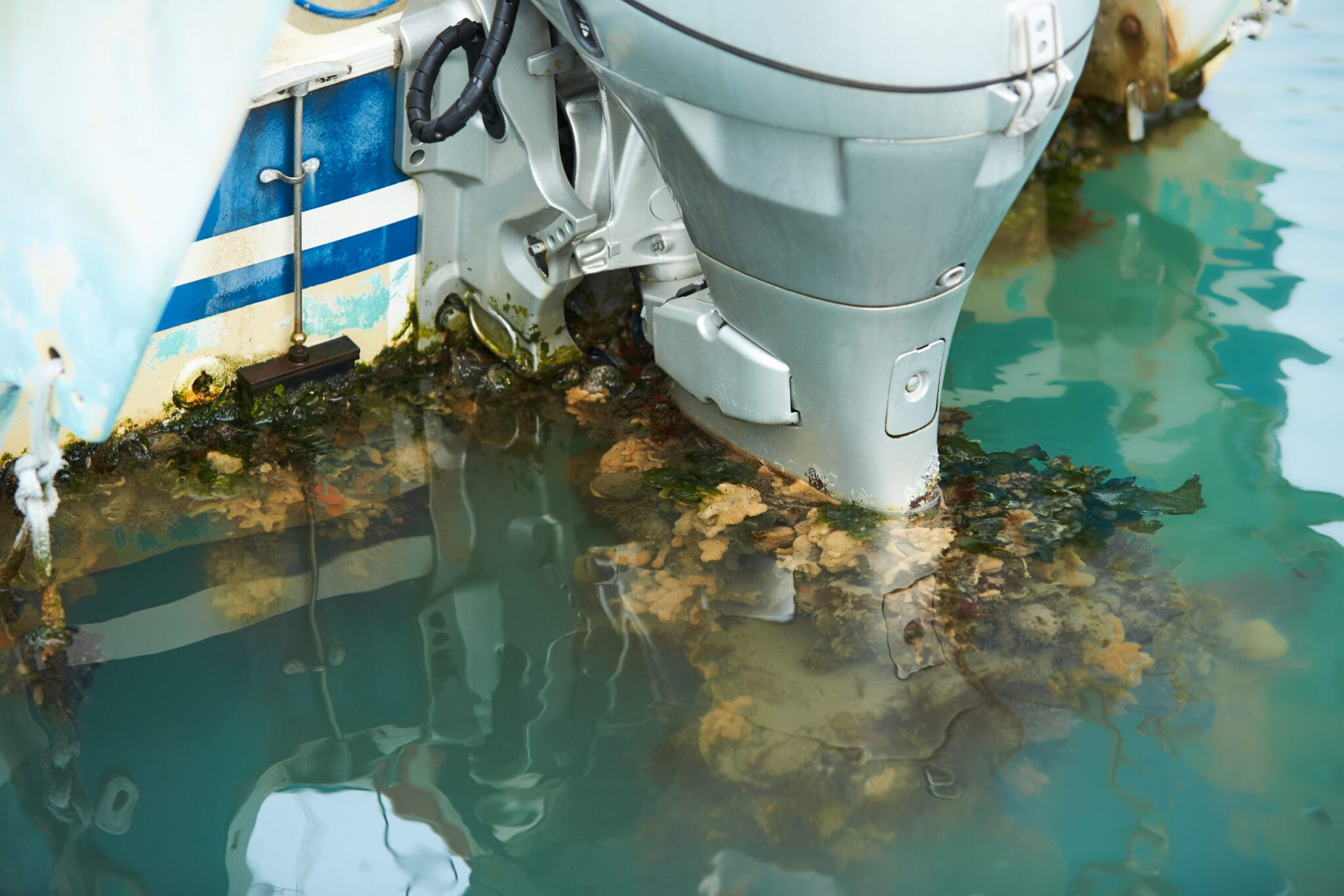 Hull Cleaning